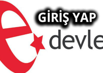 E-Devlet Ne işe Yarar?