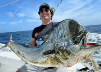 Suat Yiğit Şimdide Gaddar’ın Başrolünde