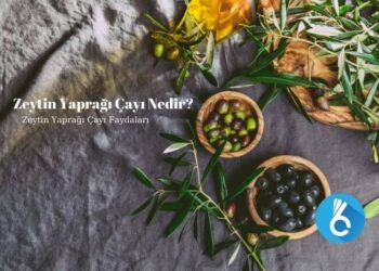 Zeytin Yaprağı Çayı Nedir